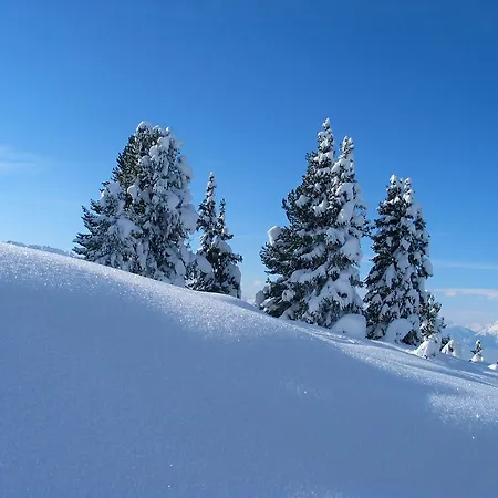 Waldhütte * Hochpillberg
