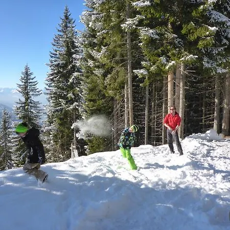 Chalet Waldhütte Hochpillberg