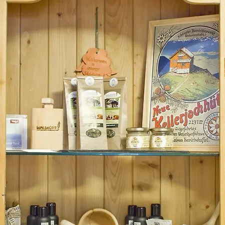 木屋 瓦尔德胡特酒店 Hochpillberg